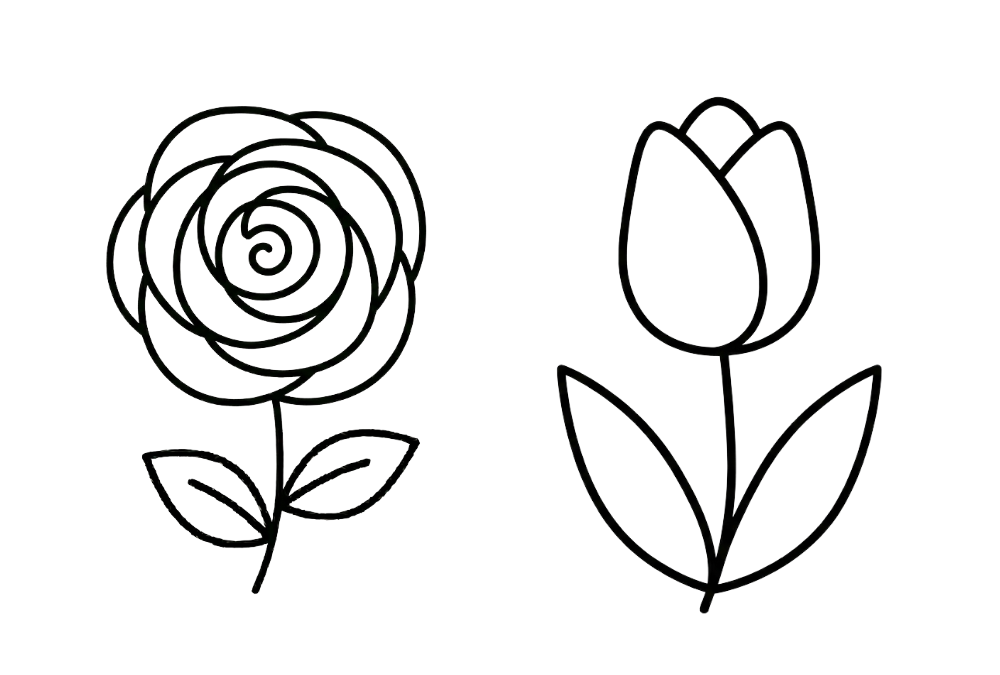 Flower Drawing Ideas
